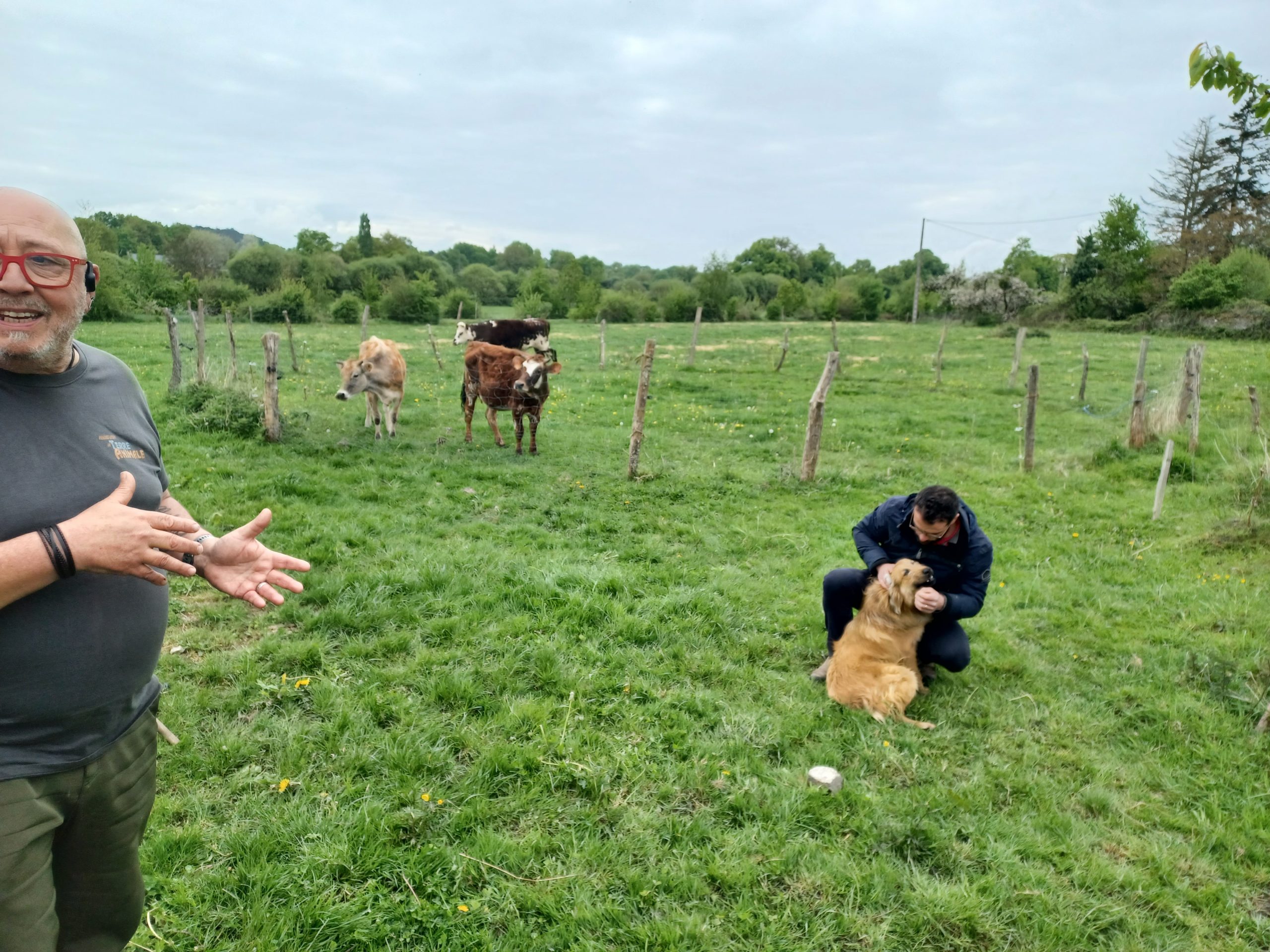 Retour sur la première journée de formation  » Initiation : éducation de son chien de troupeau « 
