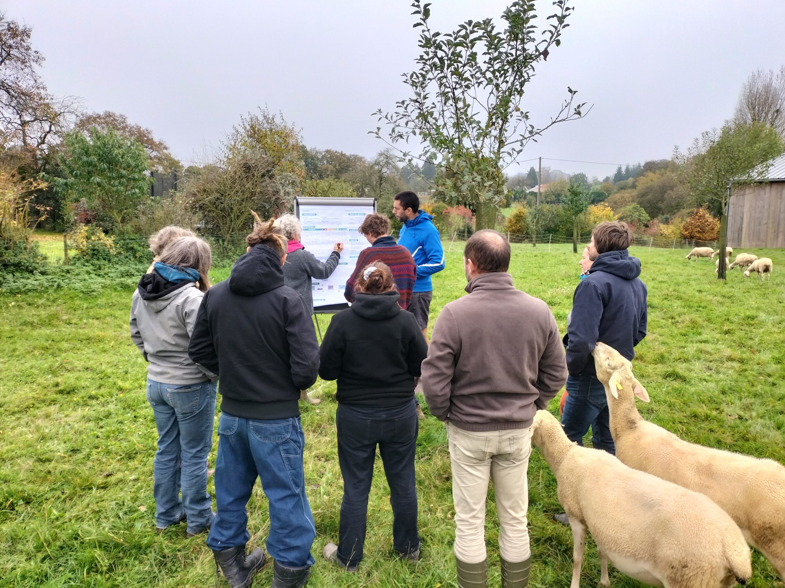 Initiation à la méthode Obsalim