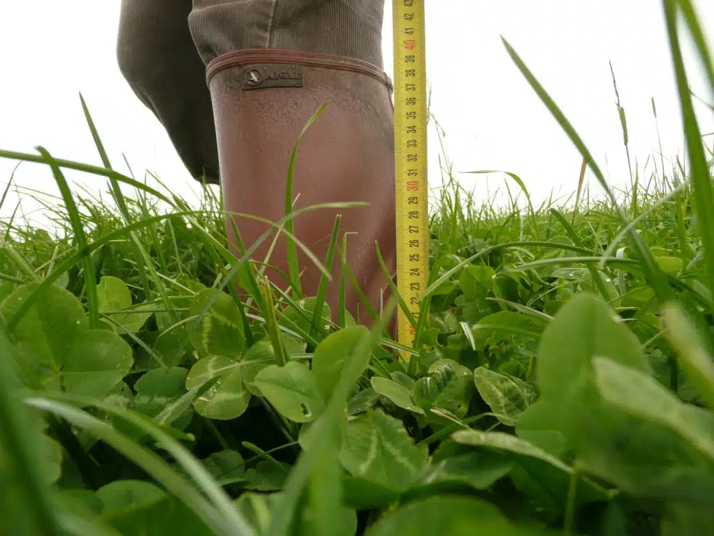 Rencontre sur la productivité des prairies avec l&rsquo;outil Herbvalo