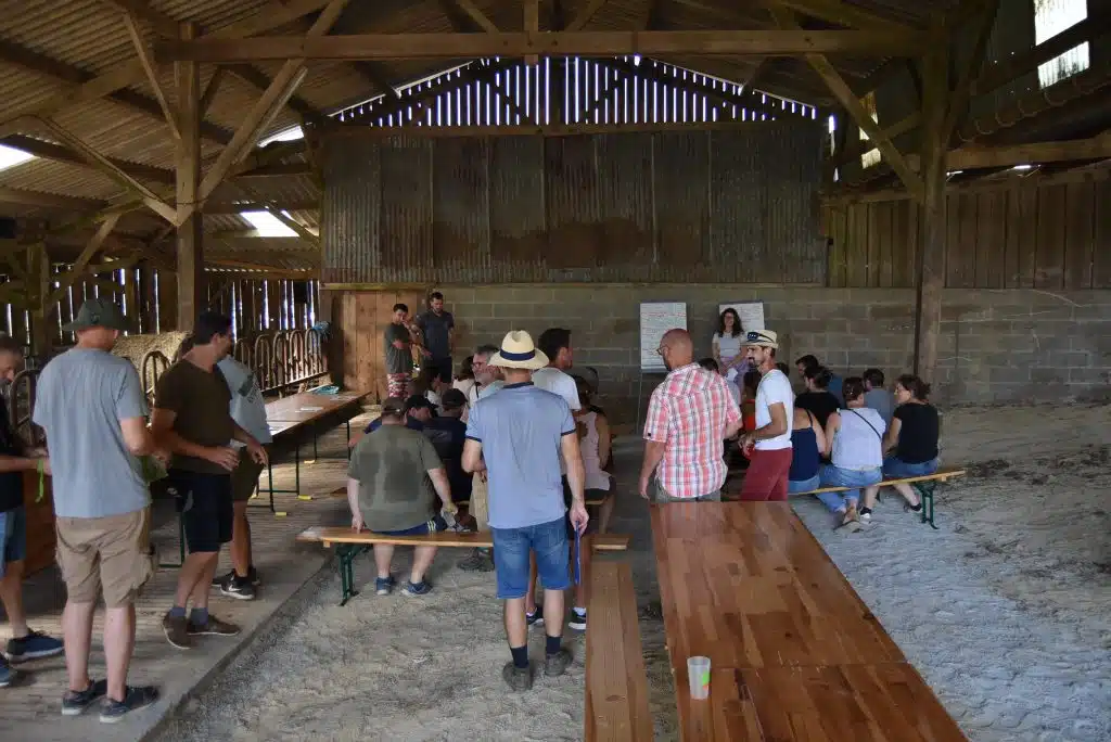 photo groupe bovin viande Bout de champs,la Présentation du groupe bovin viande