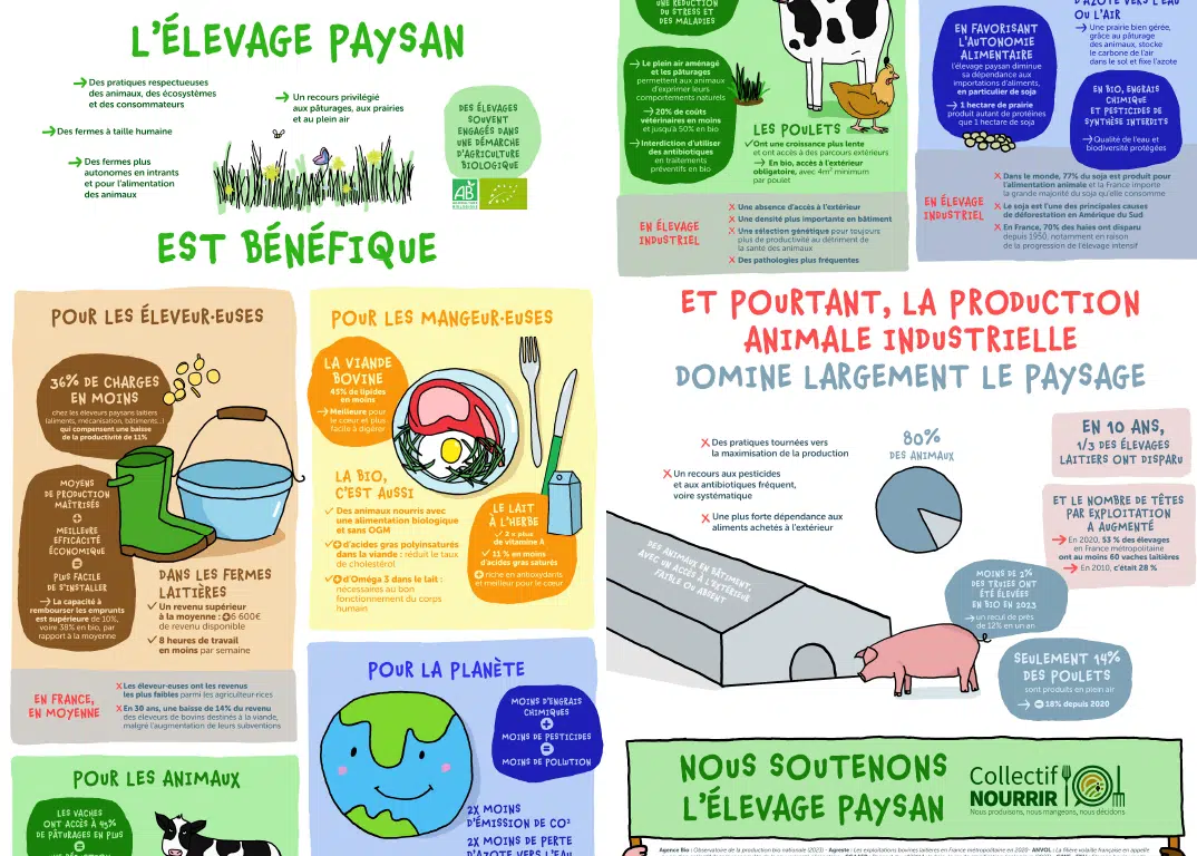 Infographie : l’élevage paysan, des bénéfices pour tou.tes !