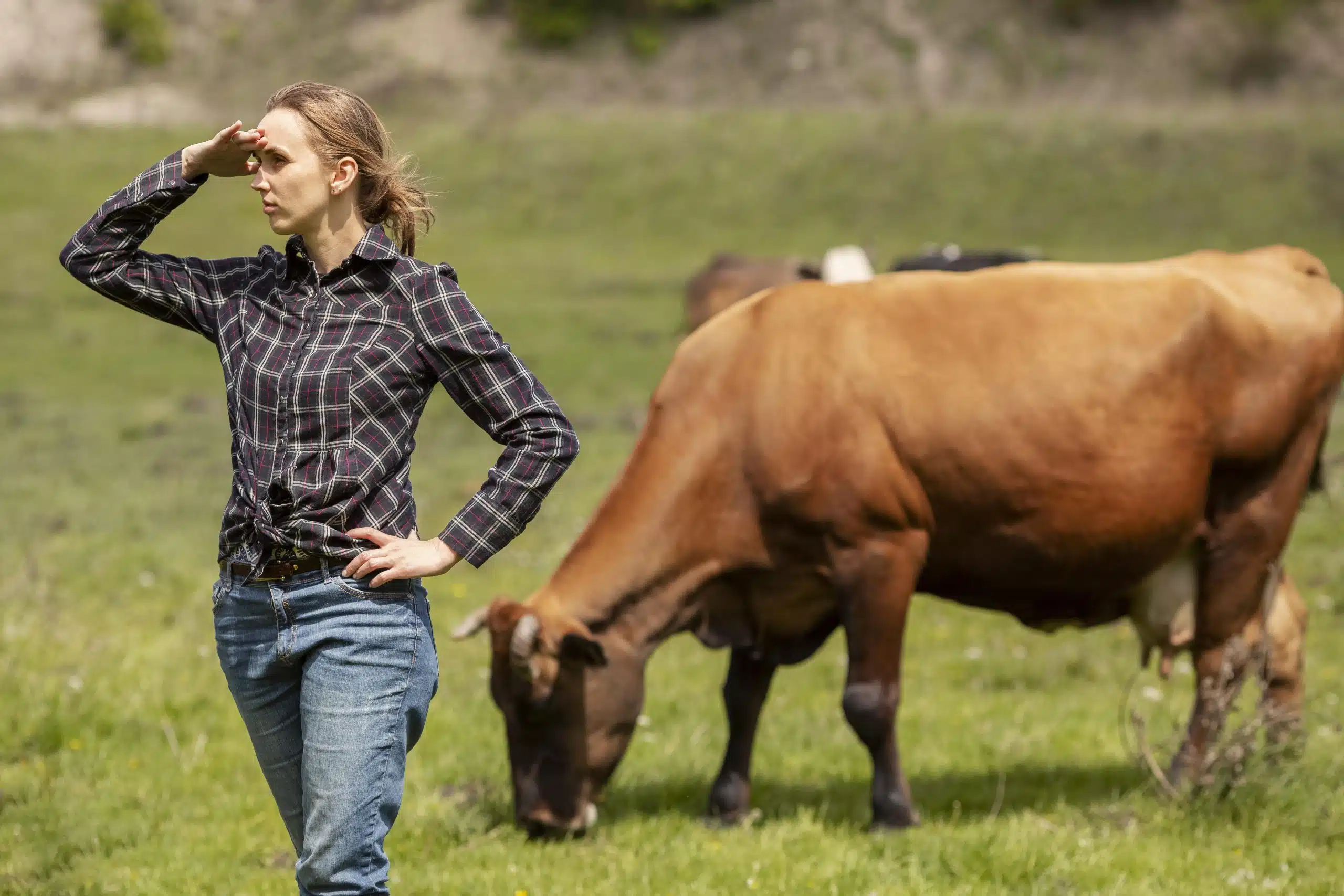 Recherche apprentissage