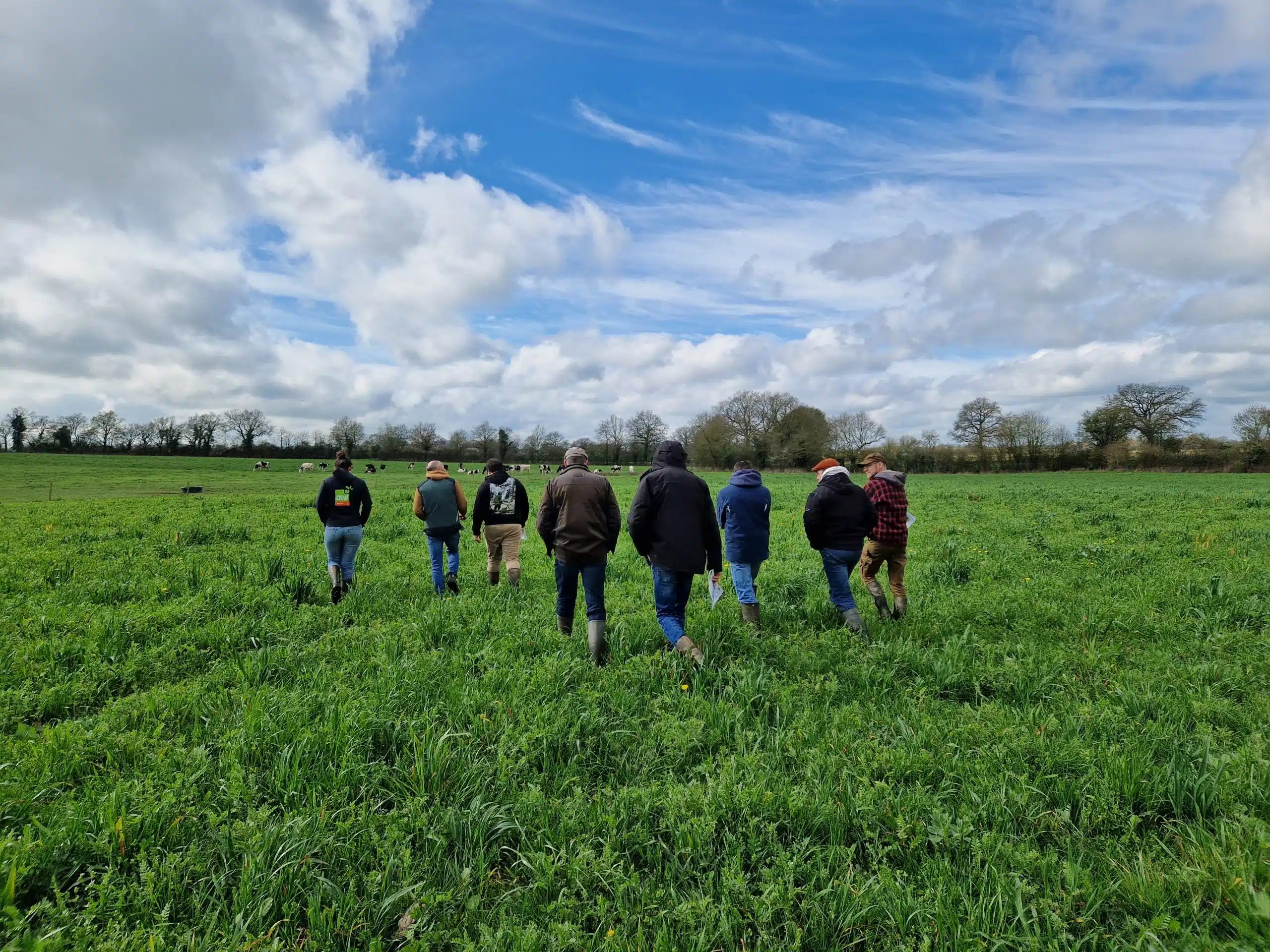 Retour sur le bout de champ du groupe sud Mayenne