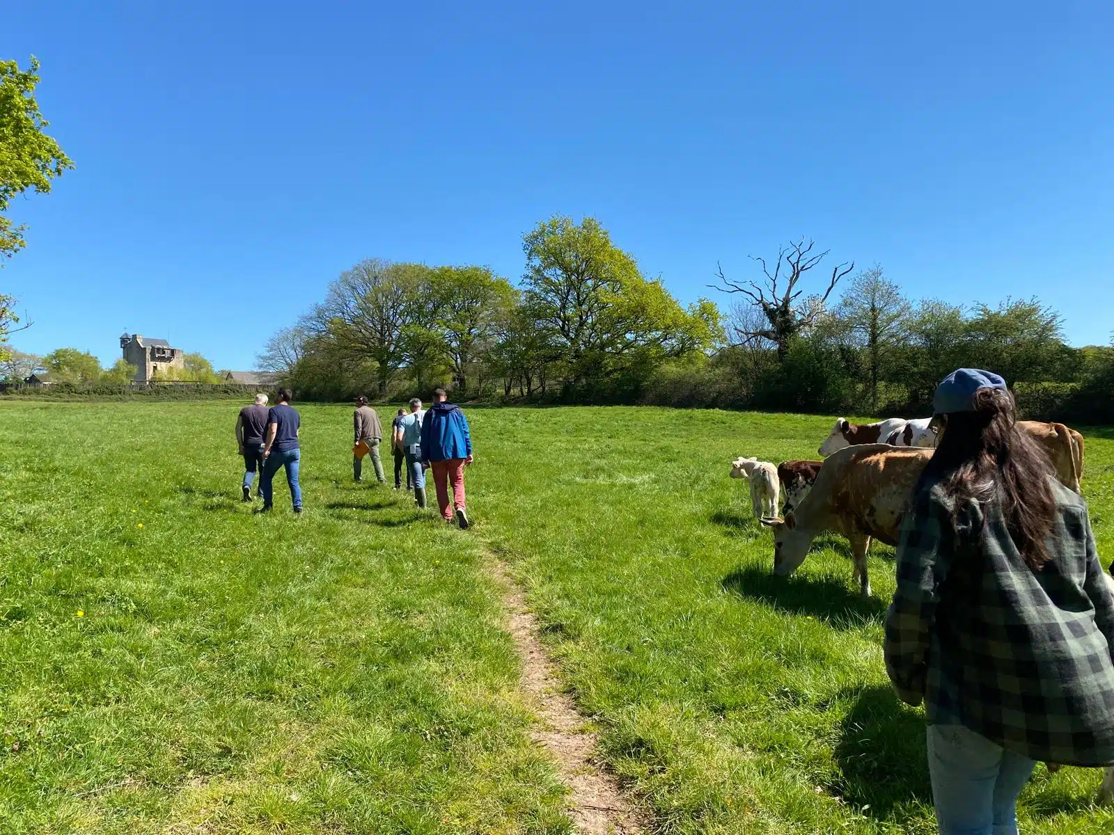 Retour sur les bouts de champ