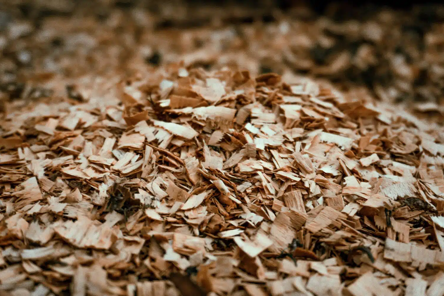 Sondage | Utilisez-vous du bois déchiqueté pour la litière animale ?