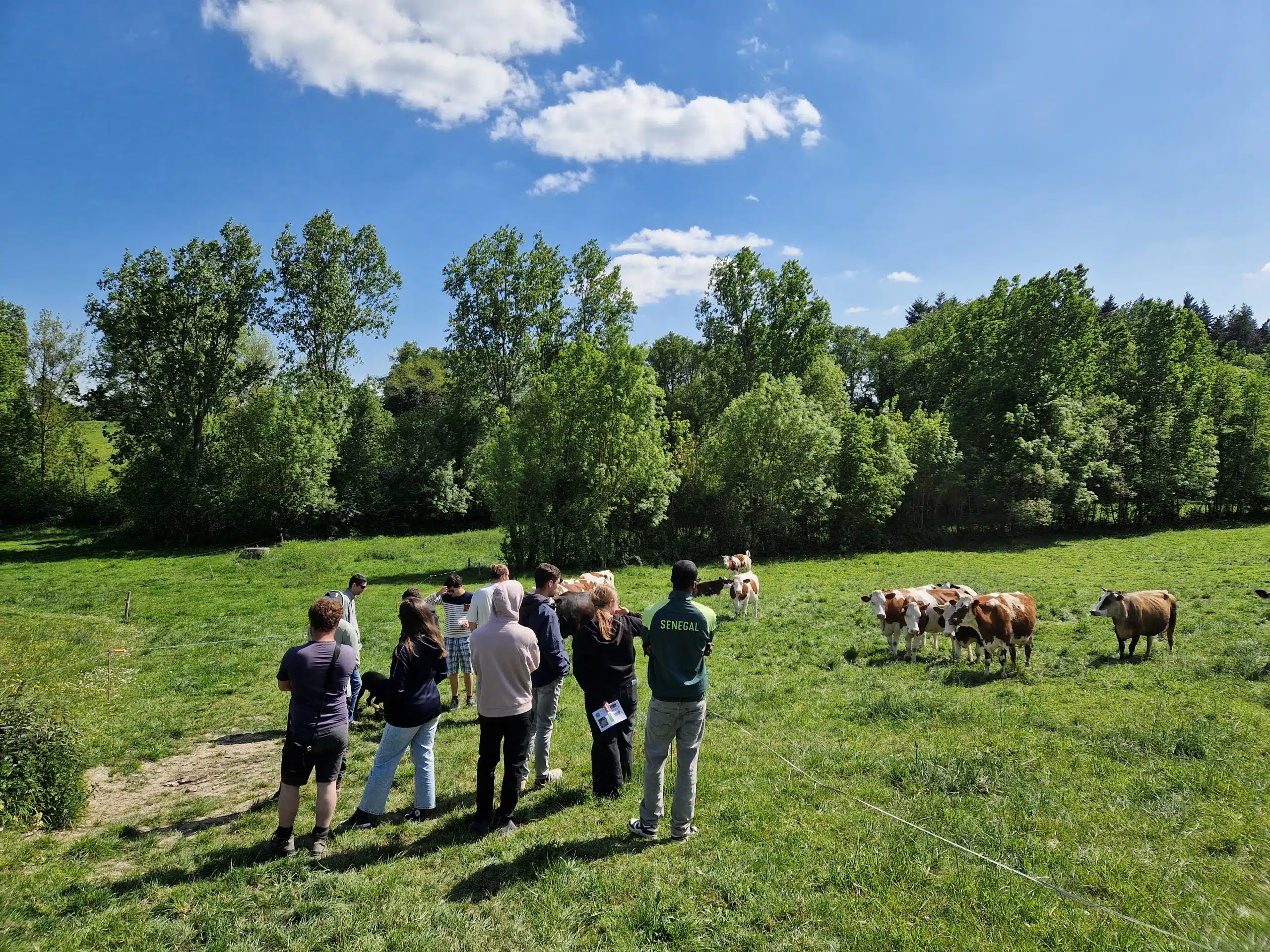 Des élève de BTS agricole en visite dans une ferme du Sud Mayenne