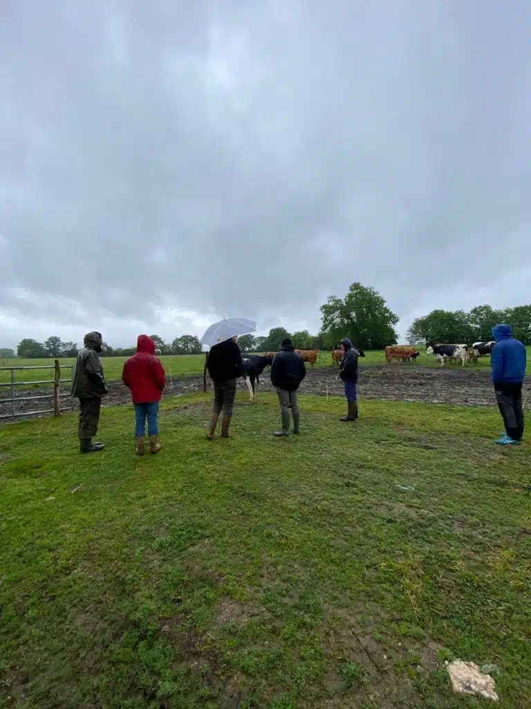 Groupe ferme