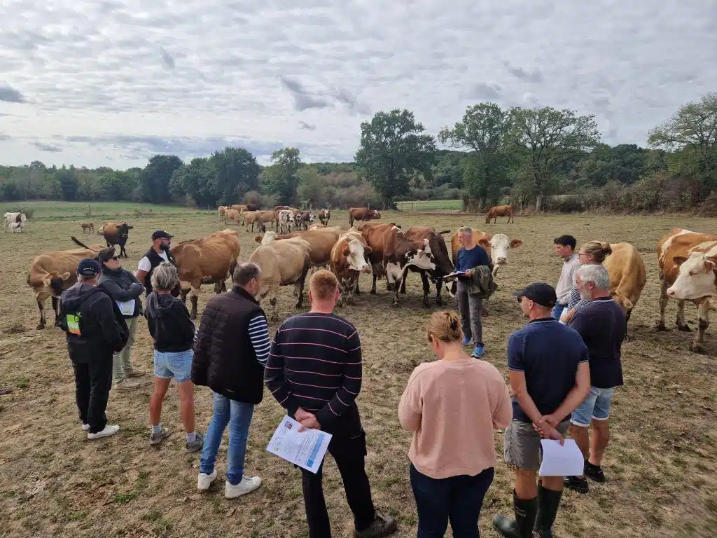 tour de ferme avec troupeau